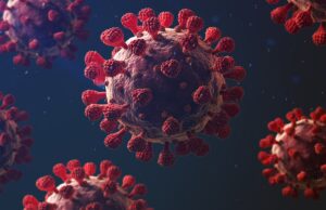 MSC Cruises’ U.S. Protocols for Vaccinated, Unvaccinated Guests